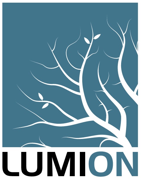 Lumion 11 Professional – Act-3D